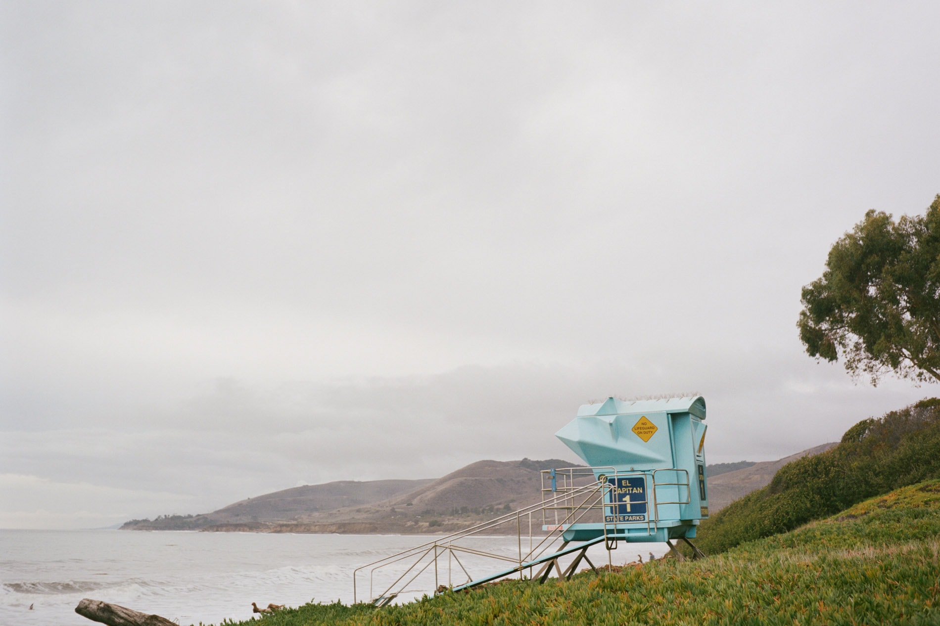 Let’s Go On a Field Trip