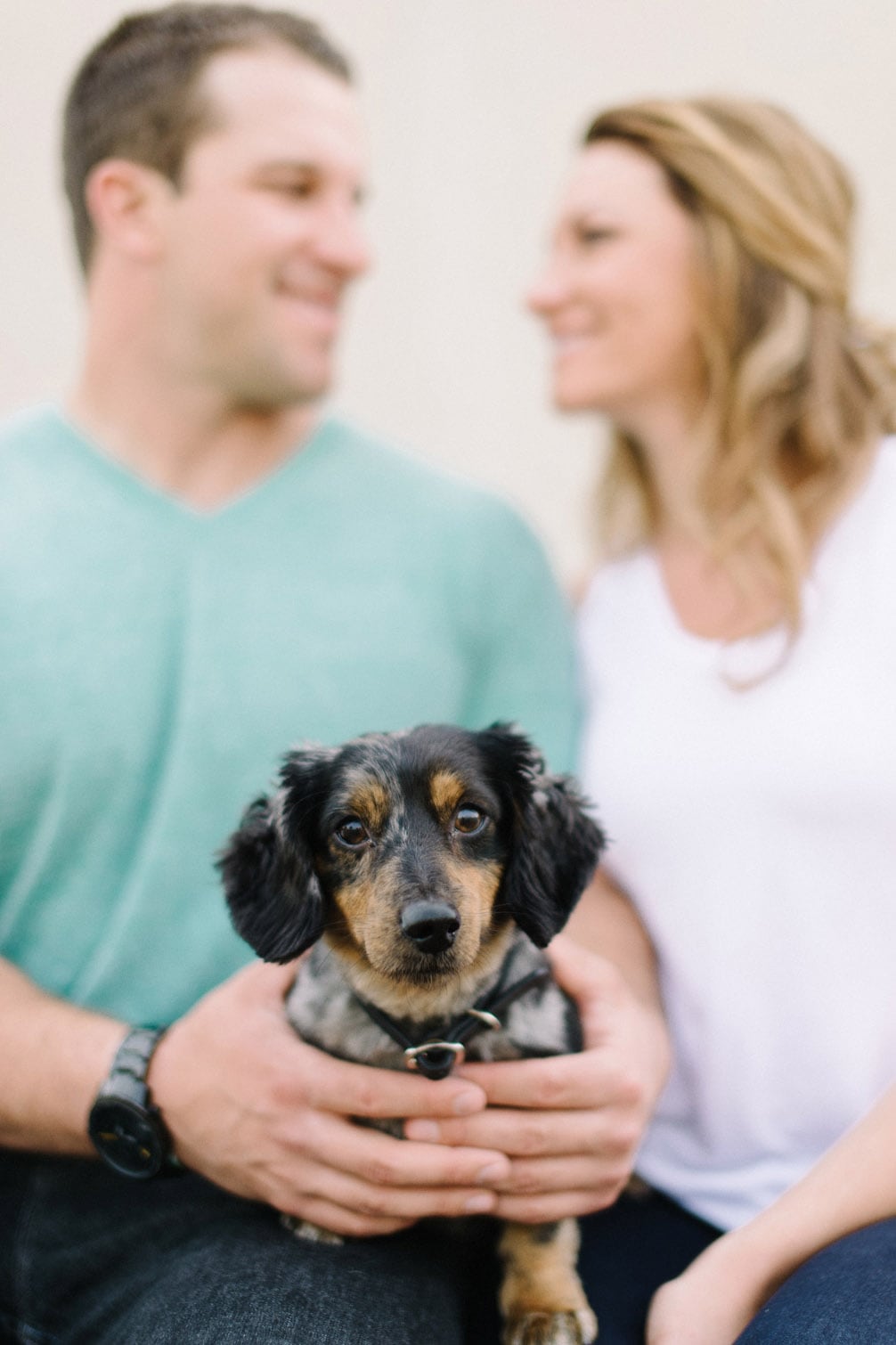 Yes, you can bring your dog.