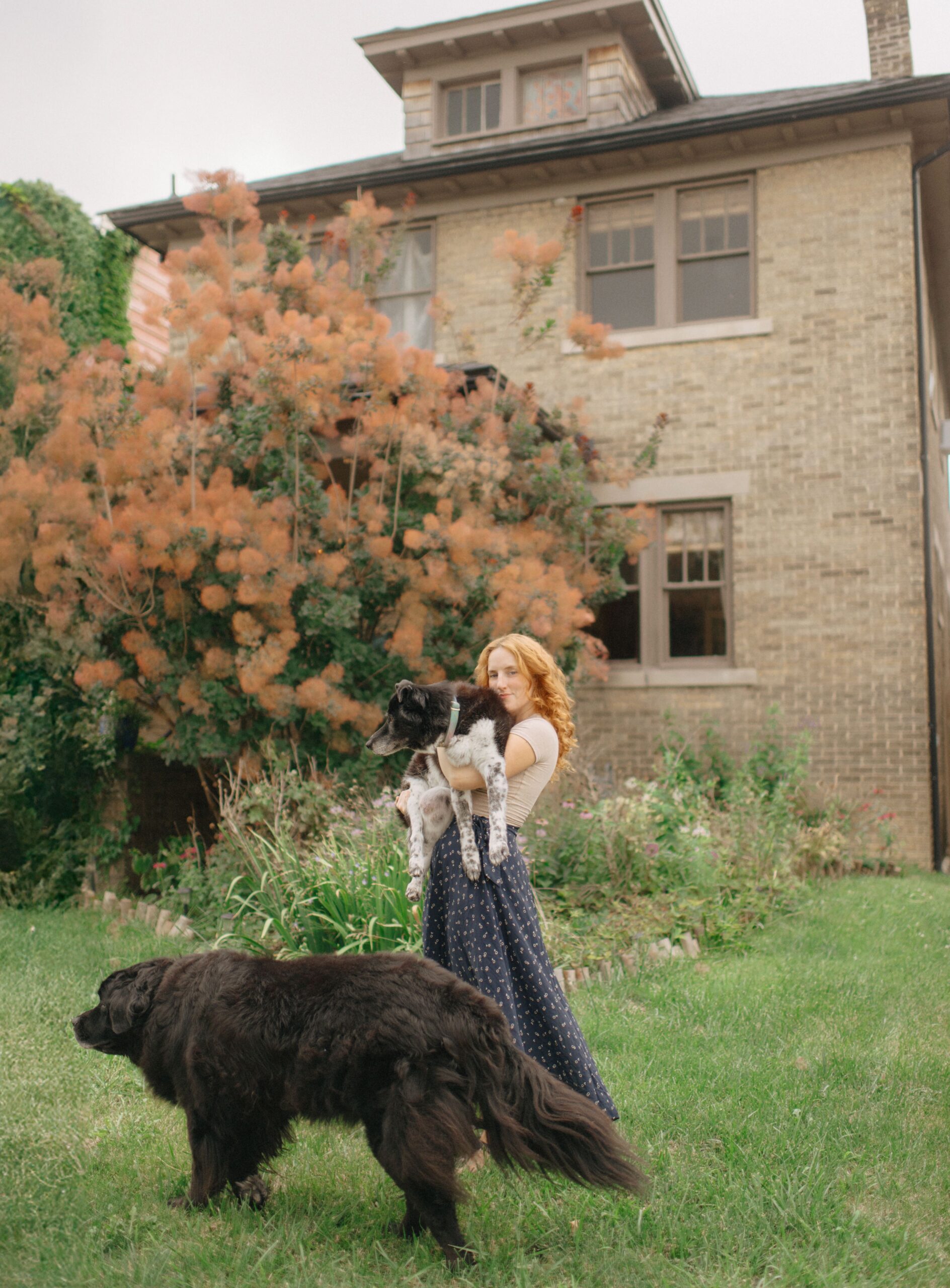 Artist portrait of Heather Jowett with her two dogs.